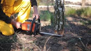 Best Lawn Mowing  in Victoria, VA